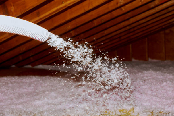 Best Insulation Replacement Services  in Lewisport, KY